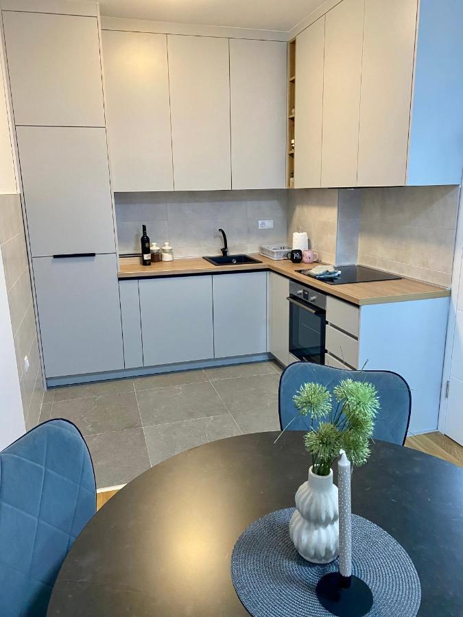 Apartman Dedijer 特雷比涅 外观 照片