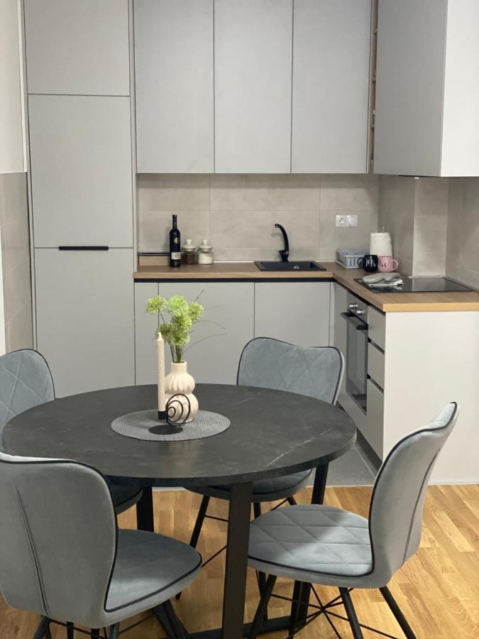 Apartman Dedijer 特雷比涅 外观 照片